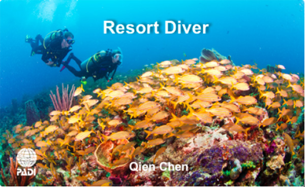 12/12正式上線！PADI 最新課程【休閑潛水員Resort Diver】 丨 一天拿證，潛遍全球