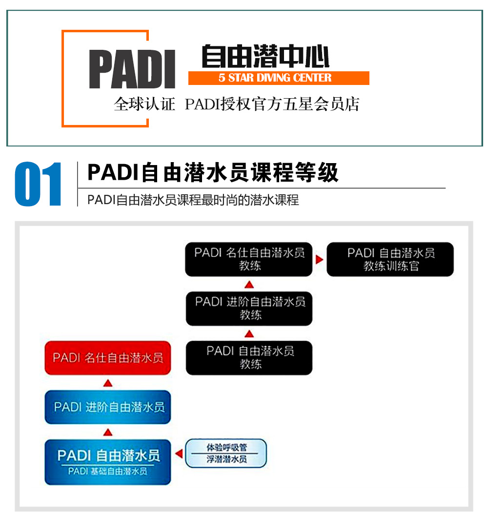 三亞PADI基礎(chǔ)自由潛課程